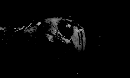 incastellated's tweet image. We're really bummed that there is no @WhaleProm, but if you thought you might've bought one of our books, they're all still available online. 

insidethecastle.org/texts