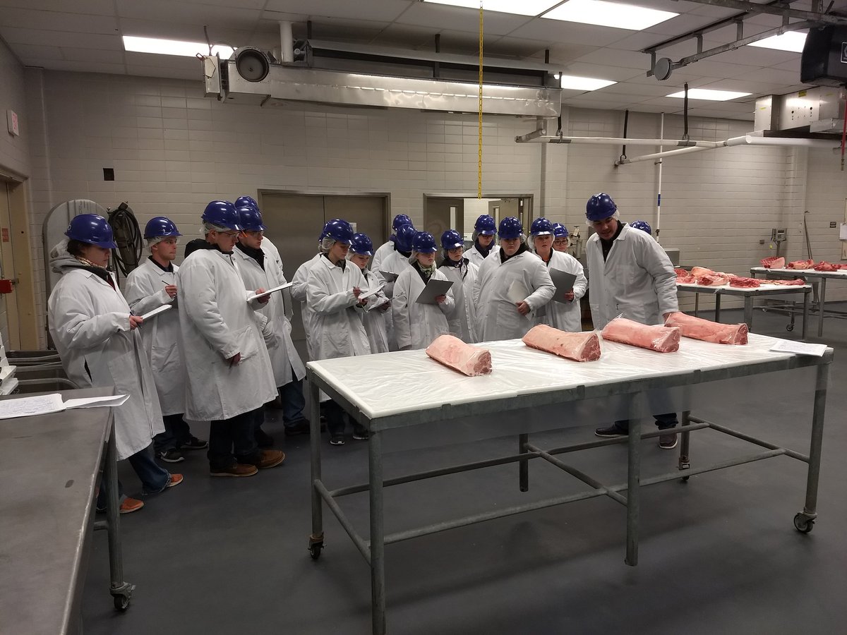 TravisOQuinn's tweet photo. Good luck to these kids today! #KStateMeatJudging2020 https://t.co/gjrnFfeweo
