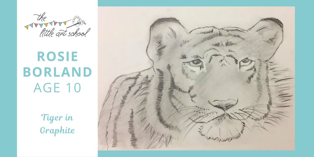 LittleArtSchool's tweet photo. This is 10 year old Rosie Borland's amazing Tiger. Rosie drew this in just an hour, using a combination of 2B, 4B, 6B pencils and a 6B Graphite stick. It's a fantastic achievement; well done Rosie! #webuildselfesteem #artclassesforkids https://t.co/skGD6yF4oE