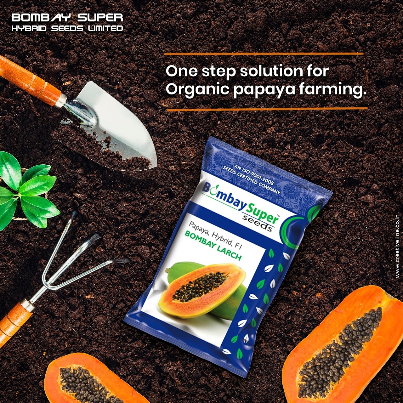 Bombaysuperseeds on Twitter "Papaya health benefits Papaya lowers