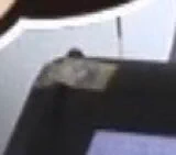 便器はまりねこテレビデビューありがとうございます。 