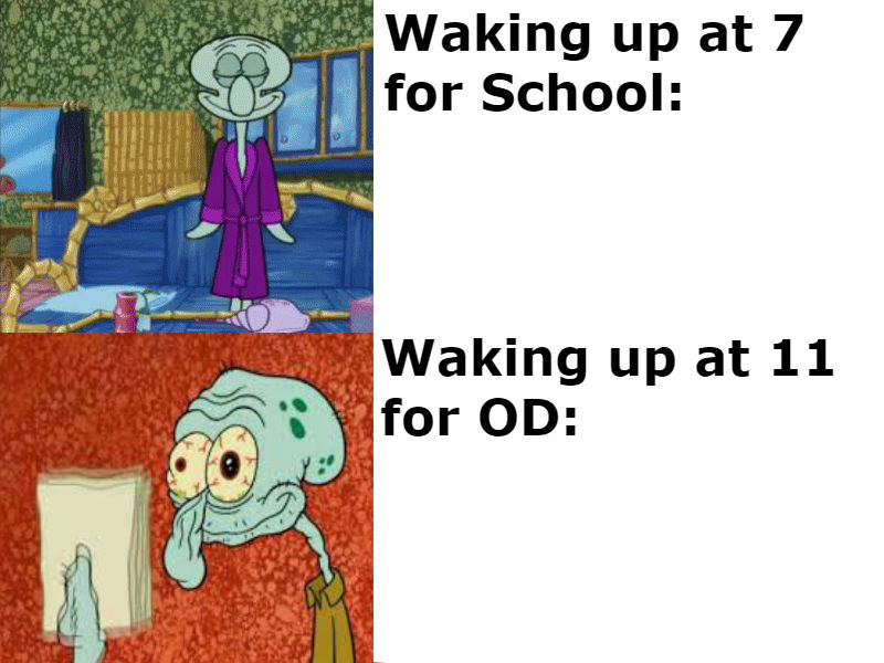 FeroniFe's tweet image. 