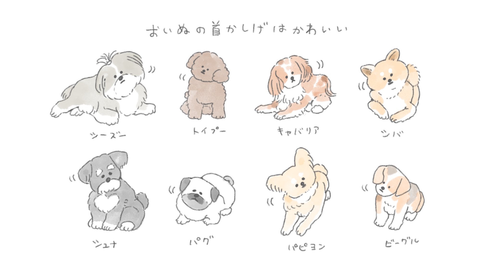 じゅん おいぬの首かしげはかわいい T Co Otowvfmctl Twitter じゅん おいぬの首かしげはかわいい T Co Otowvfmctl Twitter