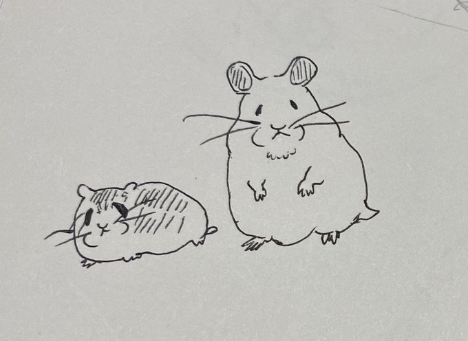うちのハムスターなんやけど、ほんまにこんな感じなの、、、(愛) かわいくない、、、???愛が溢れるくない、、??? 