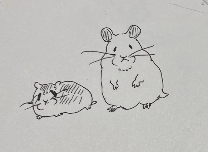 うちのハムスターなんやけど、ほんまにこんな感じなの、、、(愛) かわいくない、、、???愛が溢れるくない、、??? 