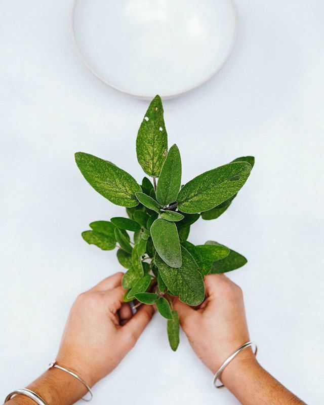 •Website Updates•
.
We’ve been spending a bit of time recently updating our websites and adding new zero waste products for you to try out!
.
We’ve recently added the biodegradable tape that we use to seal our boxes, and we’ve been surprised by how m… ift.tt/2PSi7c8