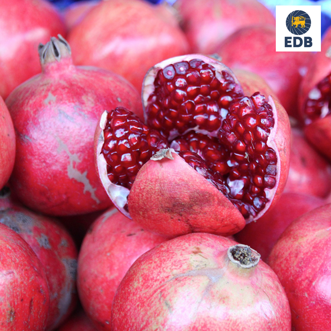 EDB_SriLanka's tweet photo. Source some of the best tropical #fruit and #vegetable produced in #SriLanka
Find out more: https://t.co/28A1dHD4z9
Buy now: https://t.co/GdHPaVsOCd
#srilankafruits #sledb #tropicalfruit #srilanka #colorfulfruit #loveforsrilanka #fruit #fruitporn https://t.co/9qK2OemulU