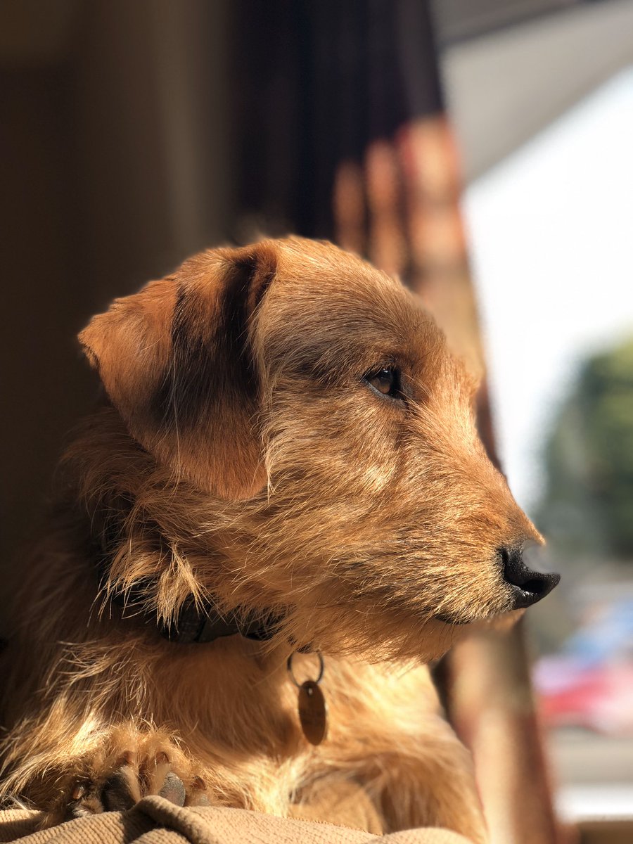 Nick Jenkinson tweet media