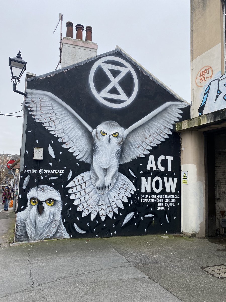 Brighton street art #ExtinctionRebellion #Brighton #streetartlovers #streetartbrighton