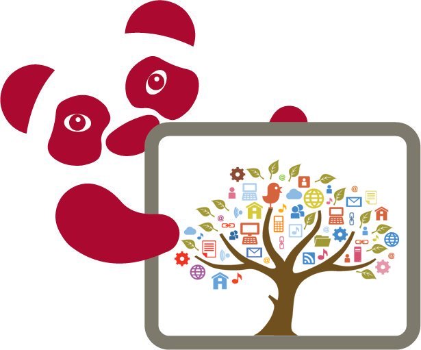 cranberry panda tweet media