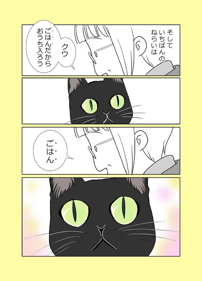 【ねこはねこかぶり】
第6話おにゃんぽにゃんこ(2/2)
おかあさんは作戦考えた
#ねこはねこかぶり #黒猫クウ 