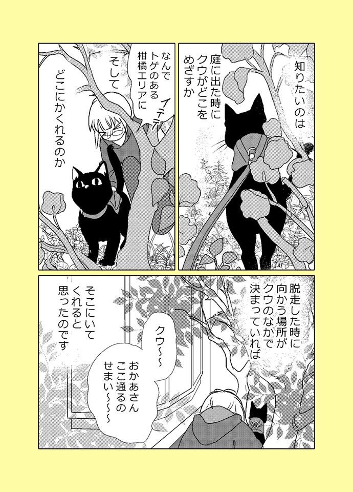 【ねこはねこかぶり】
第6話おにゃんぽにゃんこ(2/2)
おかあさんは作戦考えた
#ねこはねこかぶり #黒猫クウ 