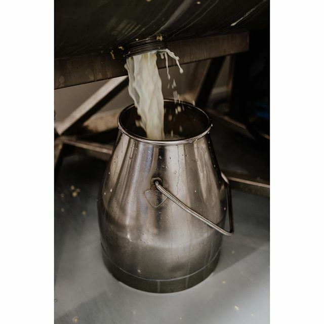 Churn day back in Cheshire for that Cultured Butter... Totally delicious buttermilk scenes this Saturday morning! Soon to be bottled and made available 💯🙏👌 #butter #restaurantgrade #buttermilk #theestatedairy ift.tt/32XBLsp