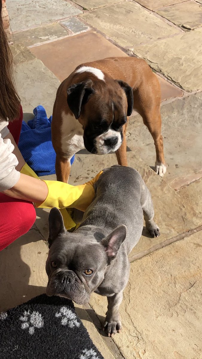 Alex Bruce tweet media