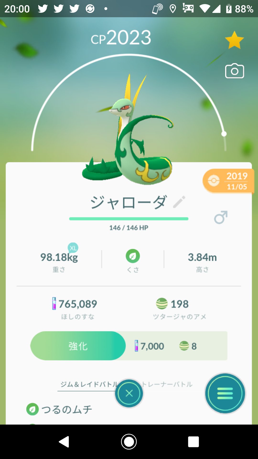 Radcliffe ア生バオー来訪者 ポカブとミジュマルのアメが貯まってたので最終進化させてみた 前に進化させたツタージャ ジャノビー ジャローダと合わせて イッシュ御三家揃った ポカブとツタージャは面影あるけど ミジュマル フタチマル