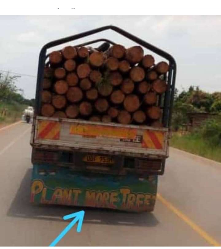 The effects of #deforestation on #wildlife are devastating! 
Click this link for details: greentumble.com/how-does-defor…