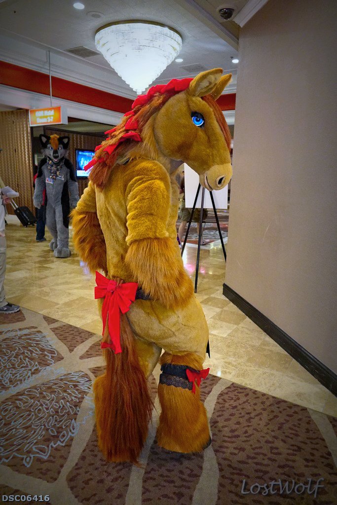 LostWolf321's tweet photo. It's @Valmirbootywig1 @BiggestLittleFC #BLFC2016 #BLFC16 https://t.co/KsVaLIgEaC