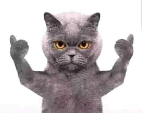 Azoz6985's tweet photo. @modawemusa1 مورد الافلام يتحدث 🤣 https://t.co/YDMWl4O0KL