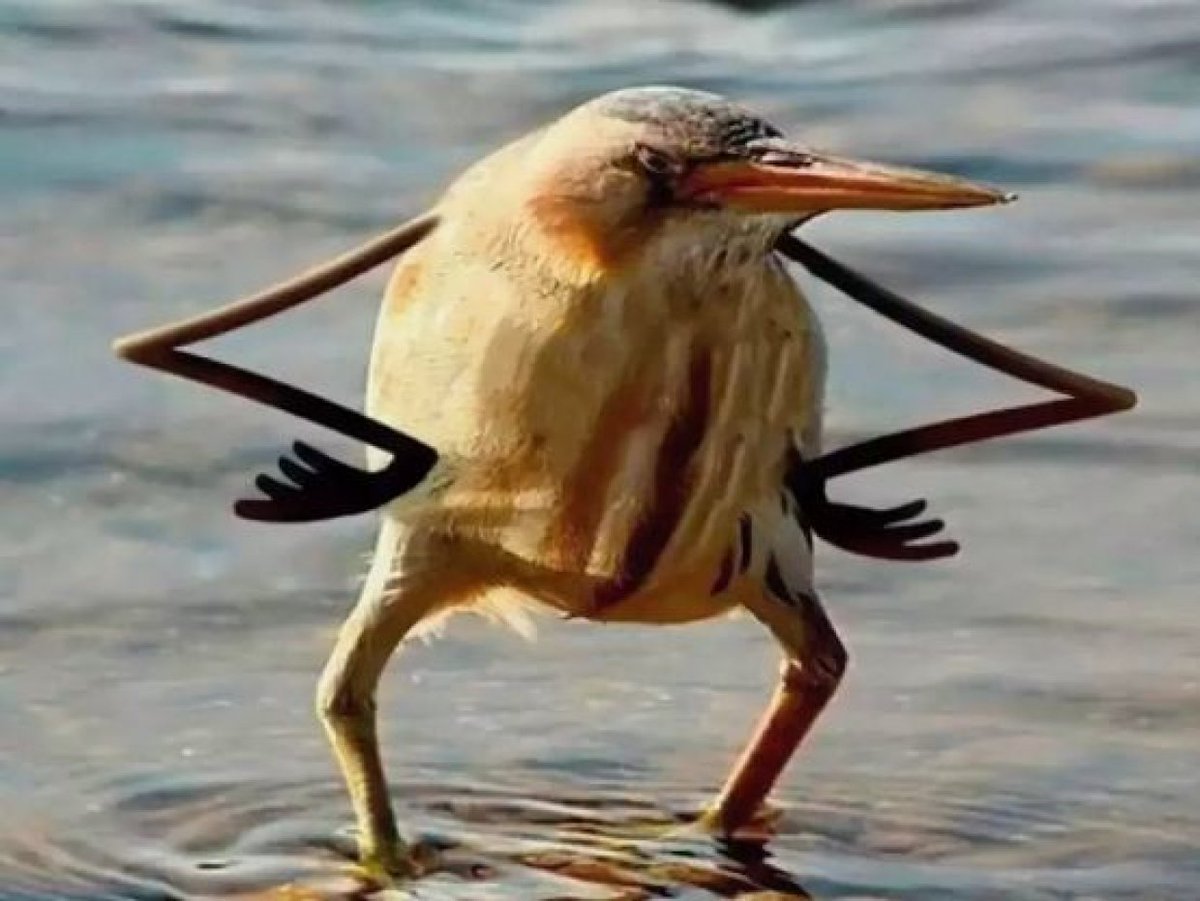 ESgQo2qXQAEZYw0.jpg:large