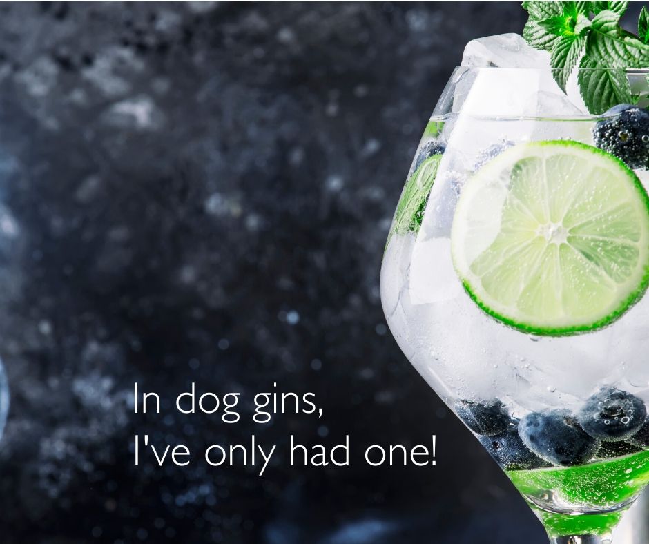 😉🤣🍸
Call into Babar for a gin or two - with or without your dog! 🐶

#ginlover #ginoclock #pangbourne
