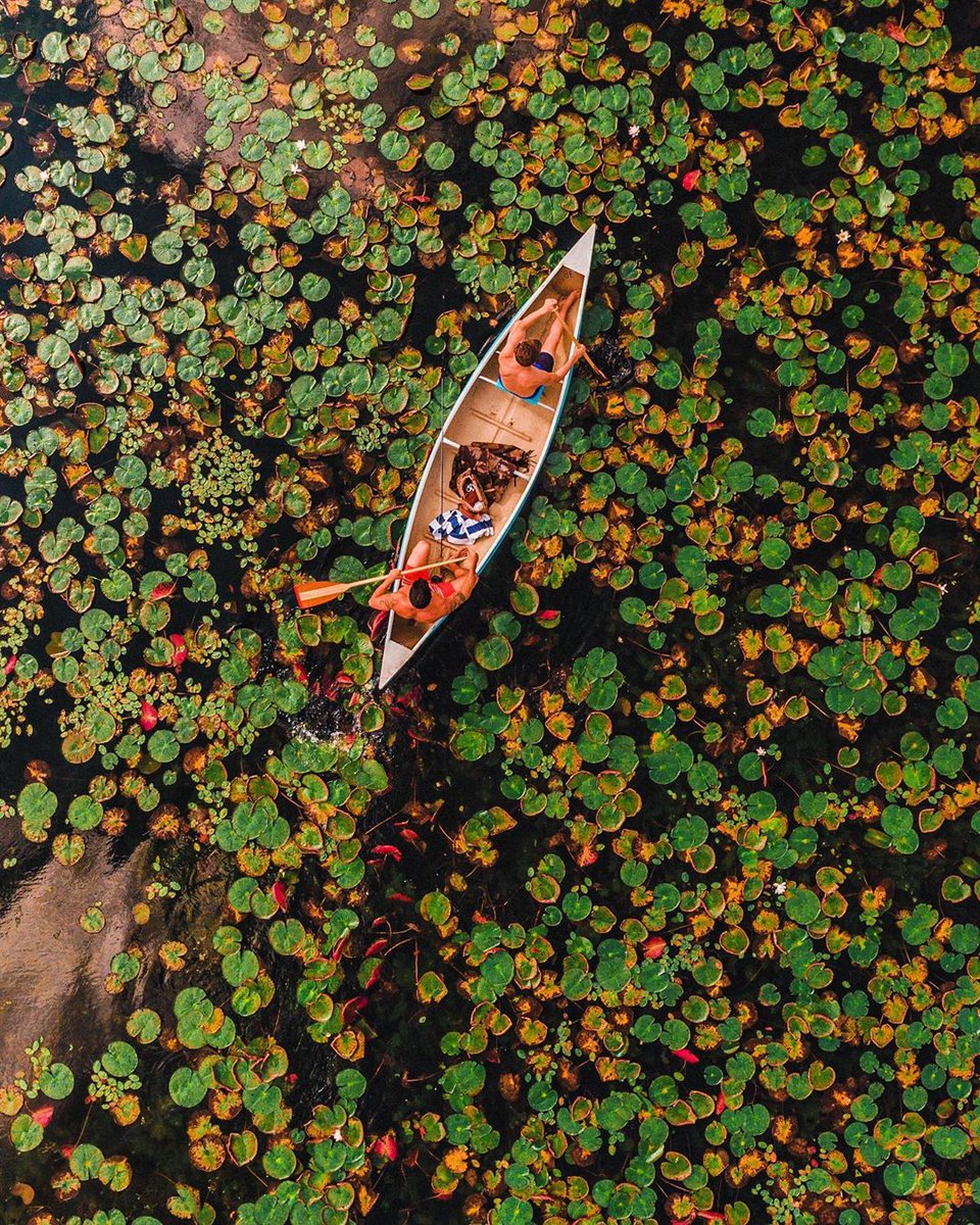 CapmingI's tweet image. Sheltered winter days remind me how good the warmth of the sun feels. LeBron Giannis Lakers #LakeShow #camping #campinglife #campingwithdogs #campingtrip #campingcollective #campingfun #campingofficial #campinggear #campingvibes #campingcar