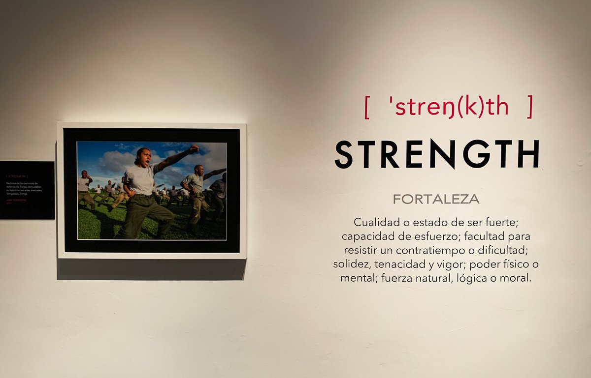 'WOMEN', pasado, presente y futuro de una sociedad donde las mujeres y su fortaleza son las protagonistas. 
 #DiaInternacionalDeLaMujer en #PalacioDeGaviria 💜