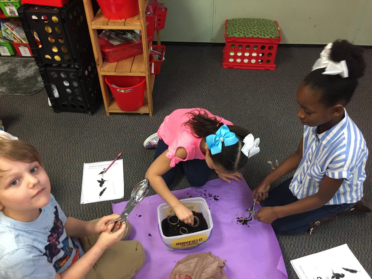 AthensCitySch's tweet photo. CP-Mrs. Haney’s class experimenting with different types of “beaks” to do different tasks#ExcellenceIs https://t.co/QO0Xf8JGoO