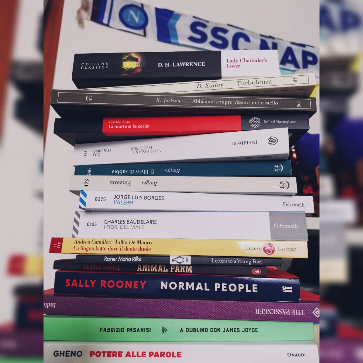 Gabry_Pic's tweet photo. "Cosa fai nel tempo libero?"
«Leggo...anzi, compro libri!»😅
📚 Dalla pila degli acquisti di febbraio e marzo è tutto!
Sí, lo so che marzo è appena iniziato...🙄
#disturbiossessivocompulsivi #bookaholic #addiction #booklover #books #itsrainingbooks https://t.co/wMm4GJMrjj