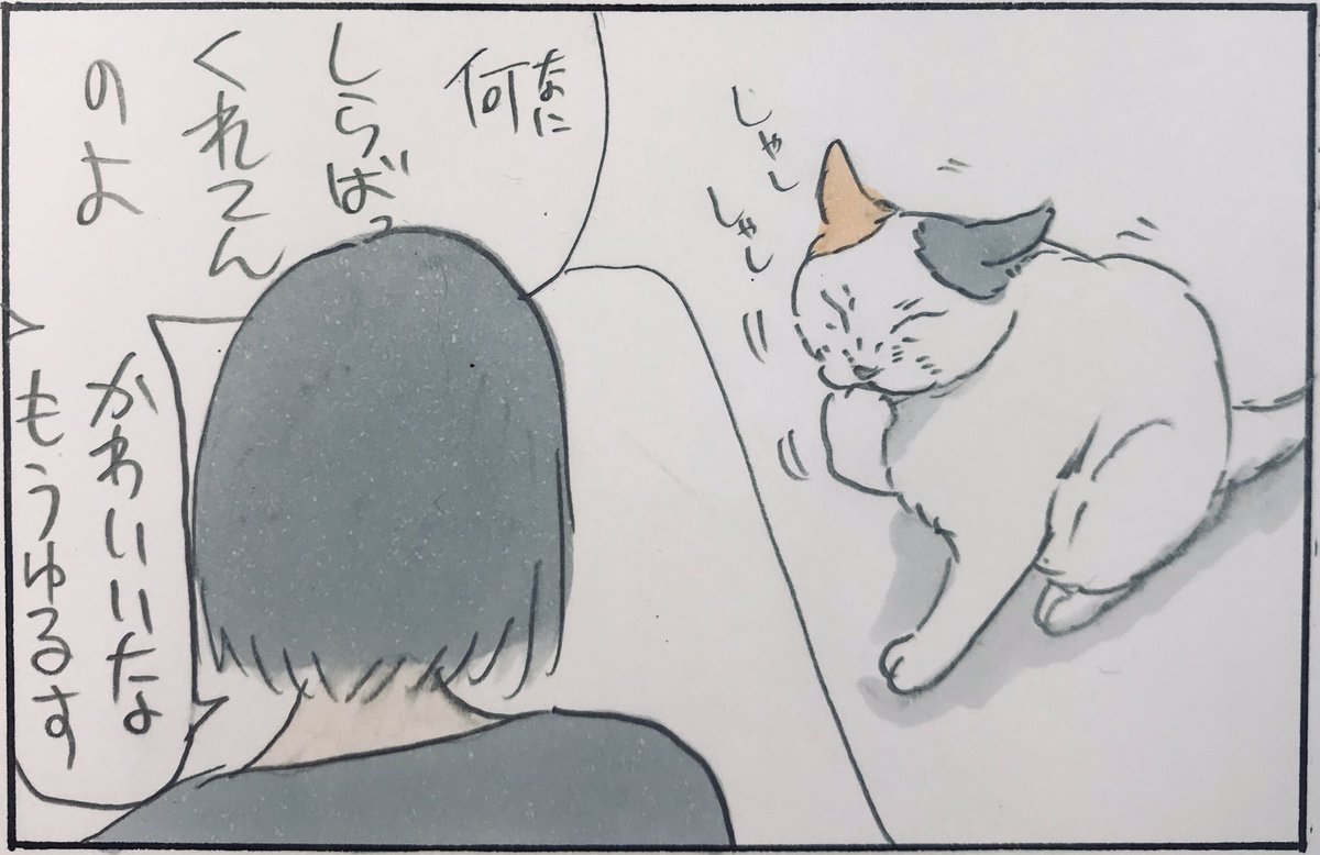 『反省はしてない』 