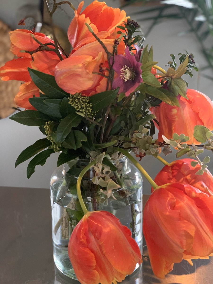Absolutely LOVE tulips and this French parrot tulip from <a href="/FreshFlowersCo/">Fresh Flowers</a> <a href="/altrinchammkt/">Altrincham Market</a> looks fab a week on mixed with some helebores from the garden #spring is coming!