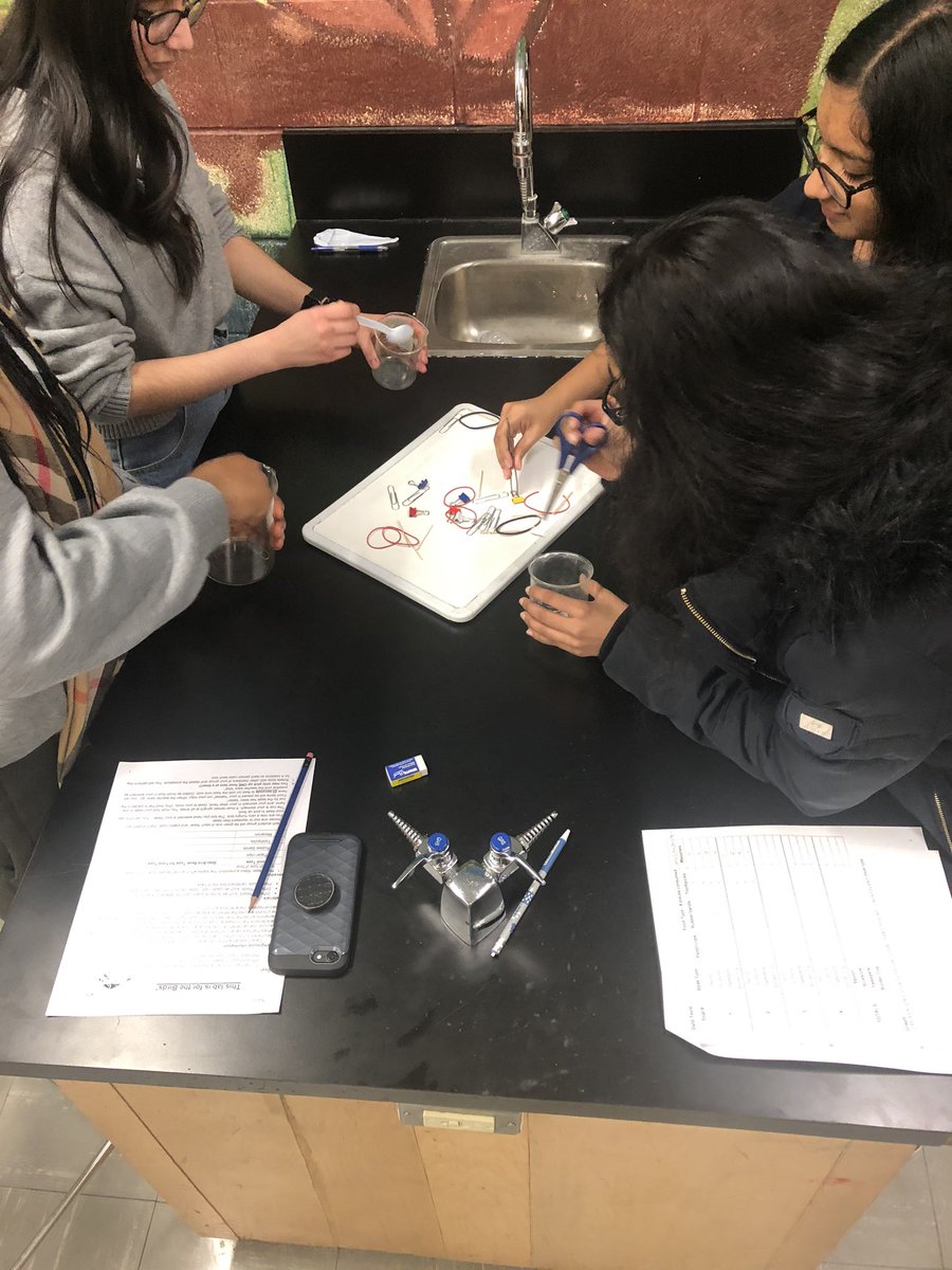 megransom's tweet photo. Yesterday #InMyOntEdClass we explored the concept of adaptation with the bird beak lab #ibbio https://t.co/Qeb6azwXsK