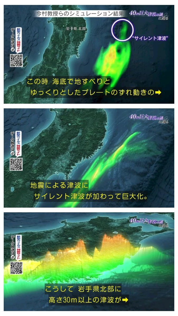 なぜ「津波の巨大化」起こったのか】~40m巨大津波の謎に迫る~ ただの