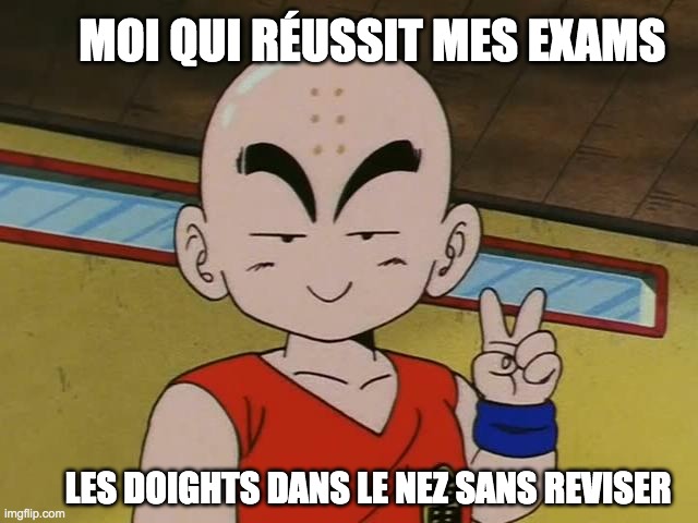 LapermanenceO's tweet photo. C'est le talent ça 😁

#memes #dragonballz #krillin ##drôle #humour #rire #manga https://t.co/drhVj0VPSy