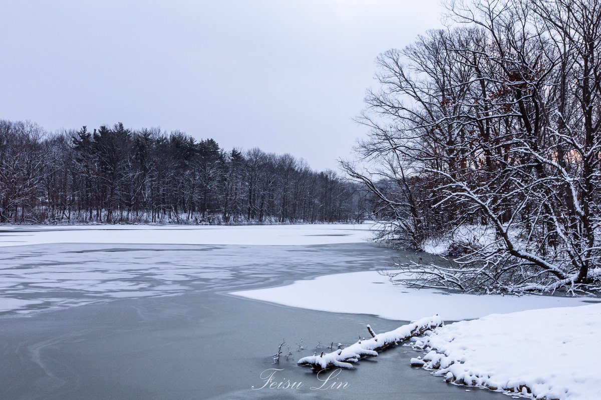 Sinan Lin MD tweet media