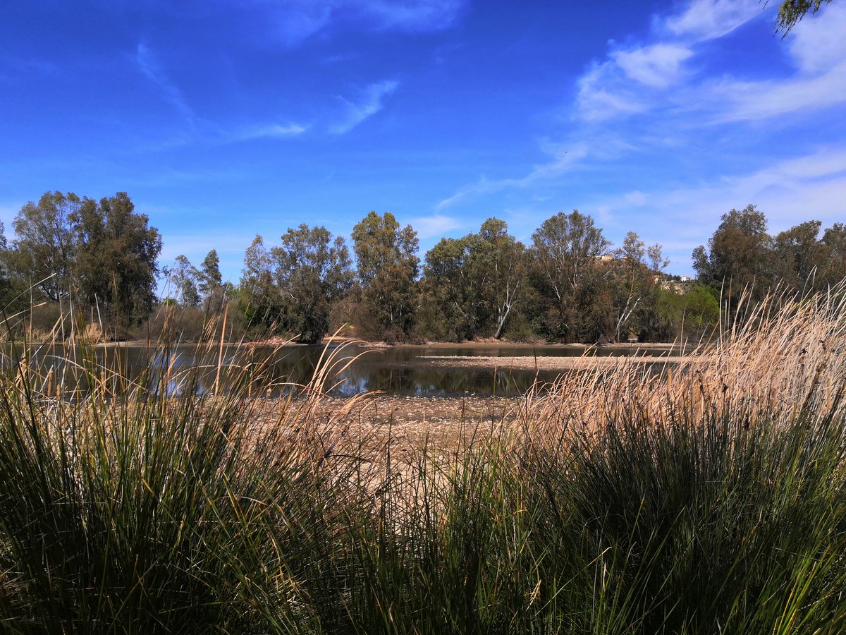 WalisonSL's tweet image. Marzo 2020/Agosto 2019