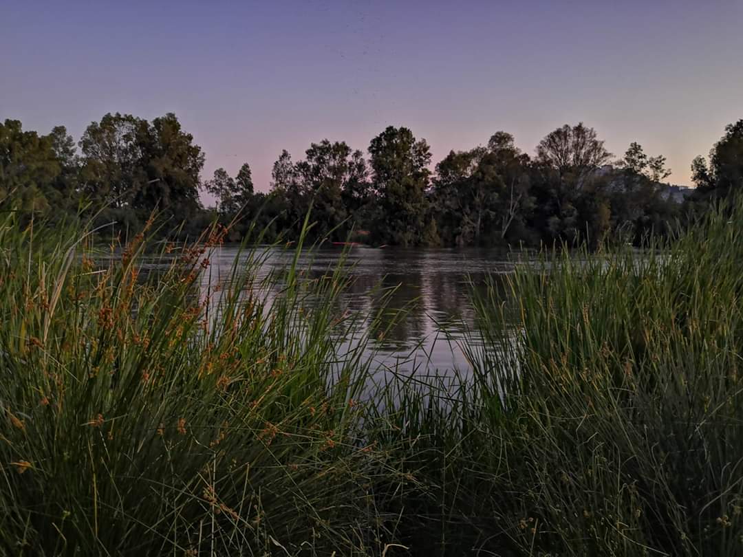 WalisonSL's tweet image. Marzo 2020/Agosto 2019