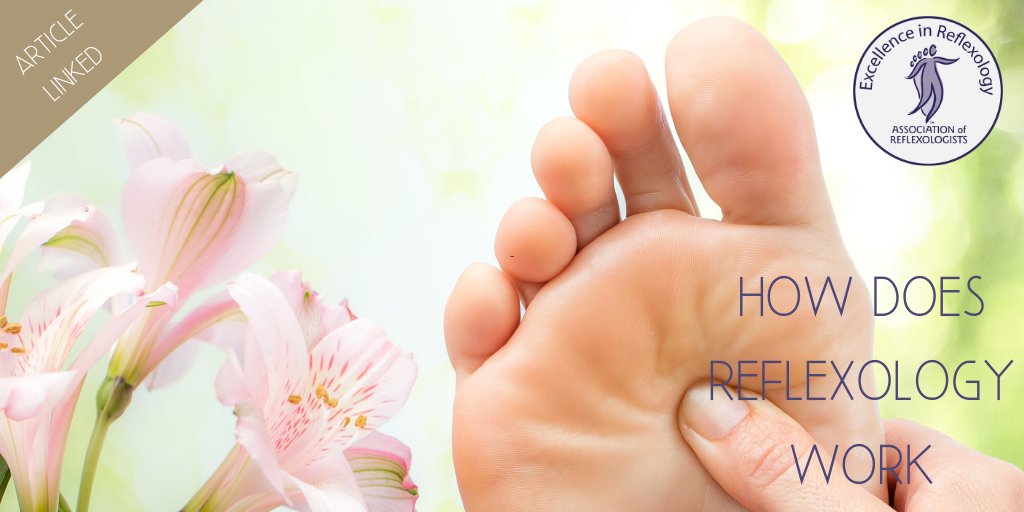 AoR_Reflexology's tweet photo. How does reflexology work by Peter Lund Frandsen from our 2014 March issue of Reflexions. To read click the link https://t.co/ngaEGN5bPd
#article #reflexions #March2014 #energyeverywhere #homeofreflexology  #associationofreflexologists https://t.co/Hh5xPSfg2B
