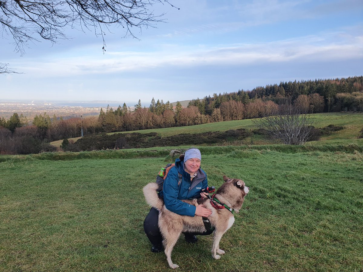 HowlingWheels's tweet photo. Check out episode 5 of our #YouTube video series called Mini Adventures. Inspiration where to go for an #adventure with your #dog #hiking #camping #SaturdayMorning #healthy #mountains #Tallagh #ireland #exploring #explore #doglovers https://t.co/KK0GLzLtJW https://t.co/uCS0su1A4U