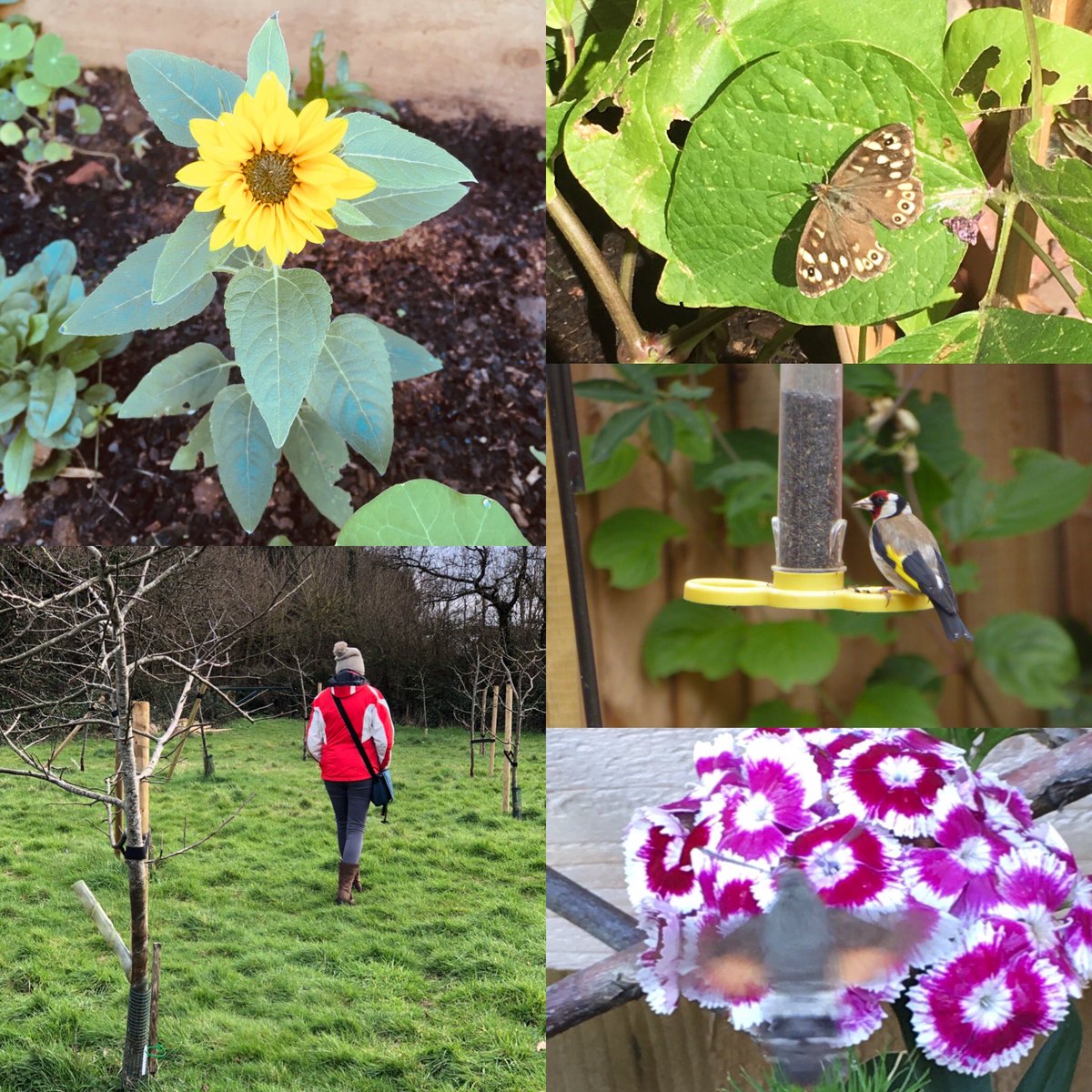 CornishSeaViews's tweet photo. Lovely folks of Twitter, I need your help! Can you suggest a small Devon based charity or CIC that might like to be nominated as an asset lock for a new enterprise helping communities connect with nature? Thanks! 💚🌳@Devon_Hour @Exeter_Hour https://t.co/TgSviOUtKG