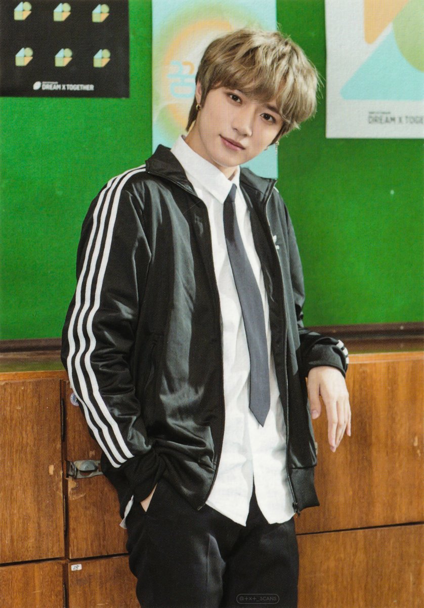 🎵 2020 TXT FANLIVE DREAM X TOGETHER ⭐️ Mini Photocards