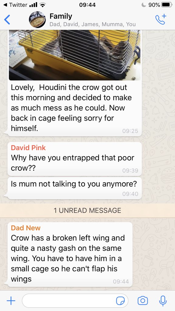 GeorgiaPink's tweet photo. Crow update:
❤️ https://t.co/TVbLqEel1D