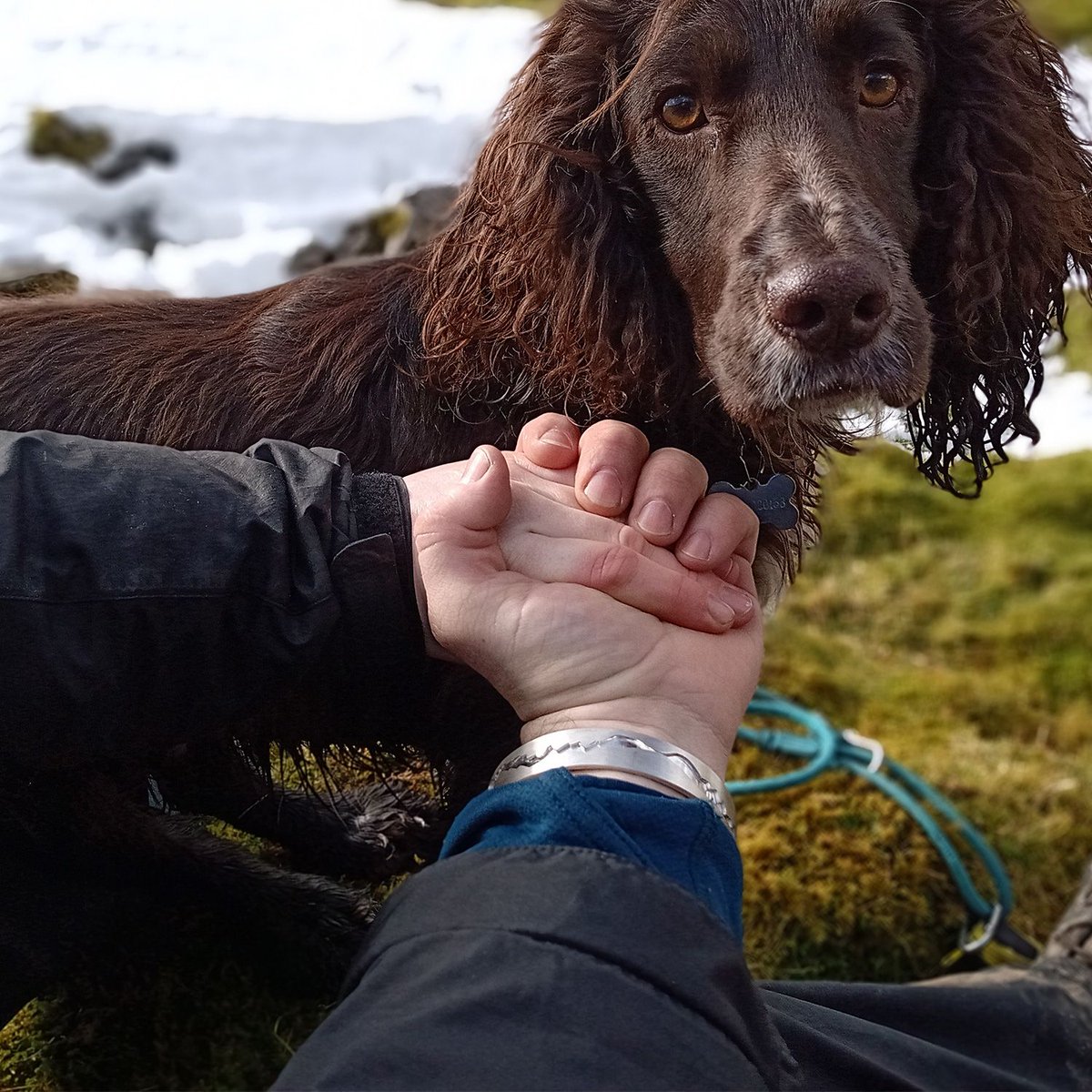 formjewellers's tweet photo. "...it was a yes on Saturday just under the summit of Pen-y-ghent in the Dales!! The bangle has been much admired and Mike is very touched and impressed by the design... Thank you very much again!" #IDo #HeSaidYes #HowTheyAsked #MadeInBritain #YorkshireDales #SilverBangle https://t.co/mTysolAf4u