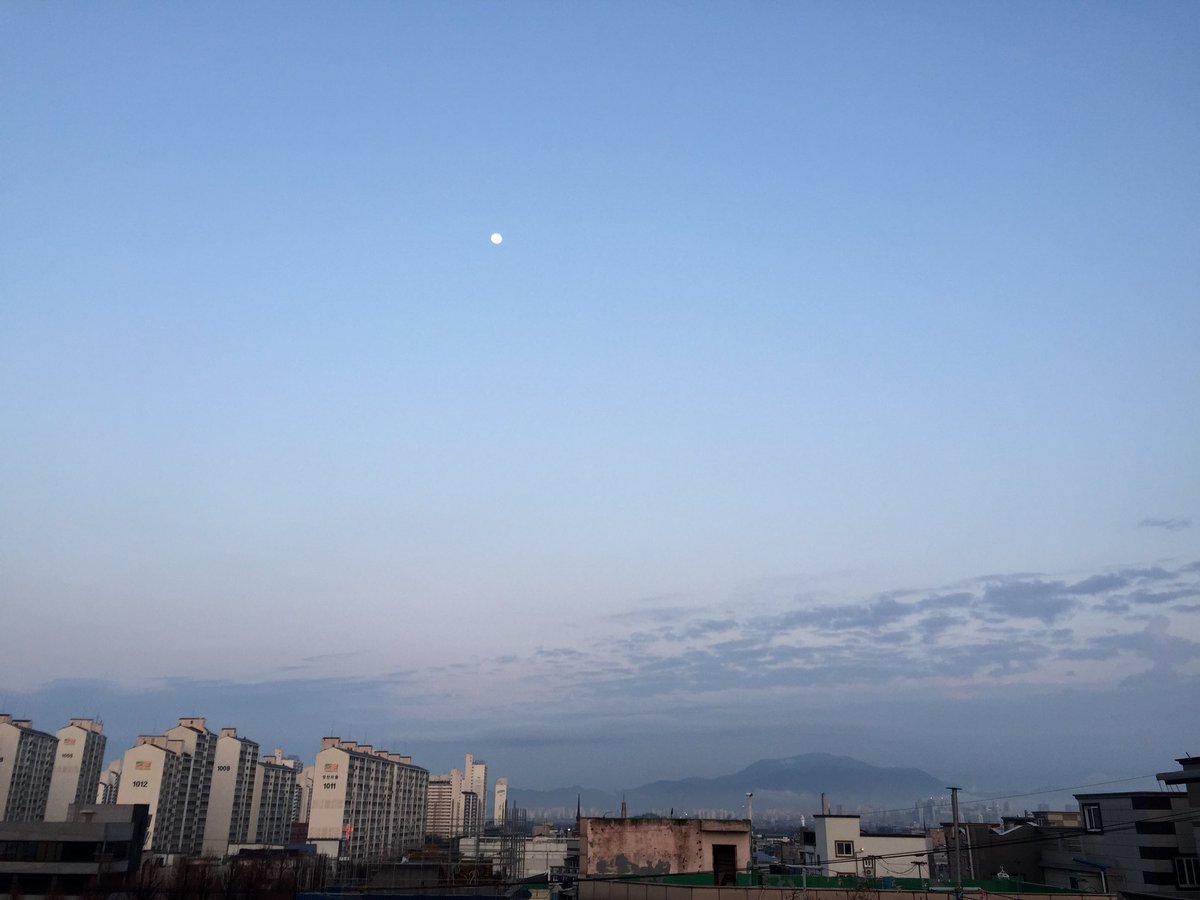 Nata_Yellow's tweet photo. ✨🏙✨ https://t.co/Du4o89rmUW