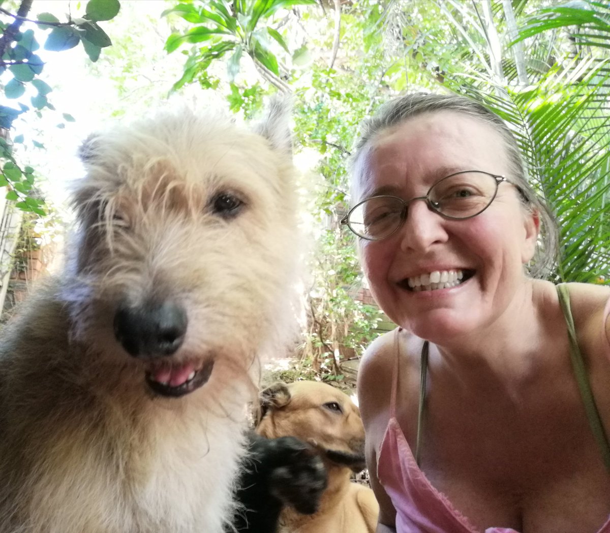 ladydebidebz1's tweet photo. Hello from The Peanut Gallery...
Miss Cheffys and Miss Maddie photobombing...
🥰🥰🥰
#FurriesRule
#BeingCrazyHelps https://t.co/BSmpbos23b