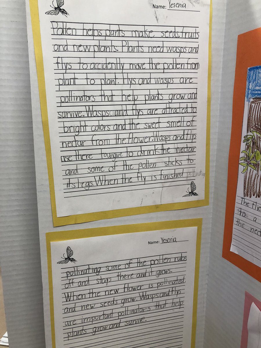 MaloneyLCES's tweet photo. Fantastic day of celebration with 2nd grade as they present their pollinator module to parents and third grade #lcespantherproud https://t.co/3wICd5b9oZ
