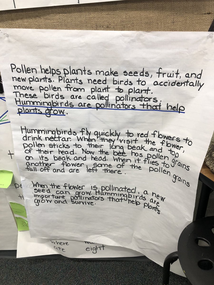 MaloneyLCES's tweet photo. Fantastic day of celebration with 2nd grade as they present their pollinator module to parents and third grade #lcespantherproud https://t.co/3wICd5b9oZ