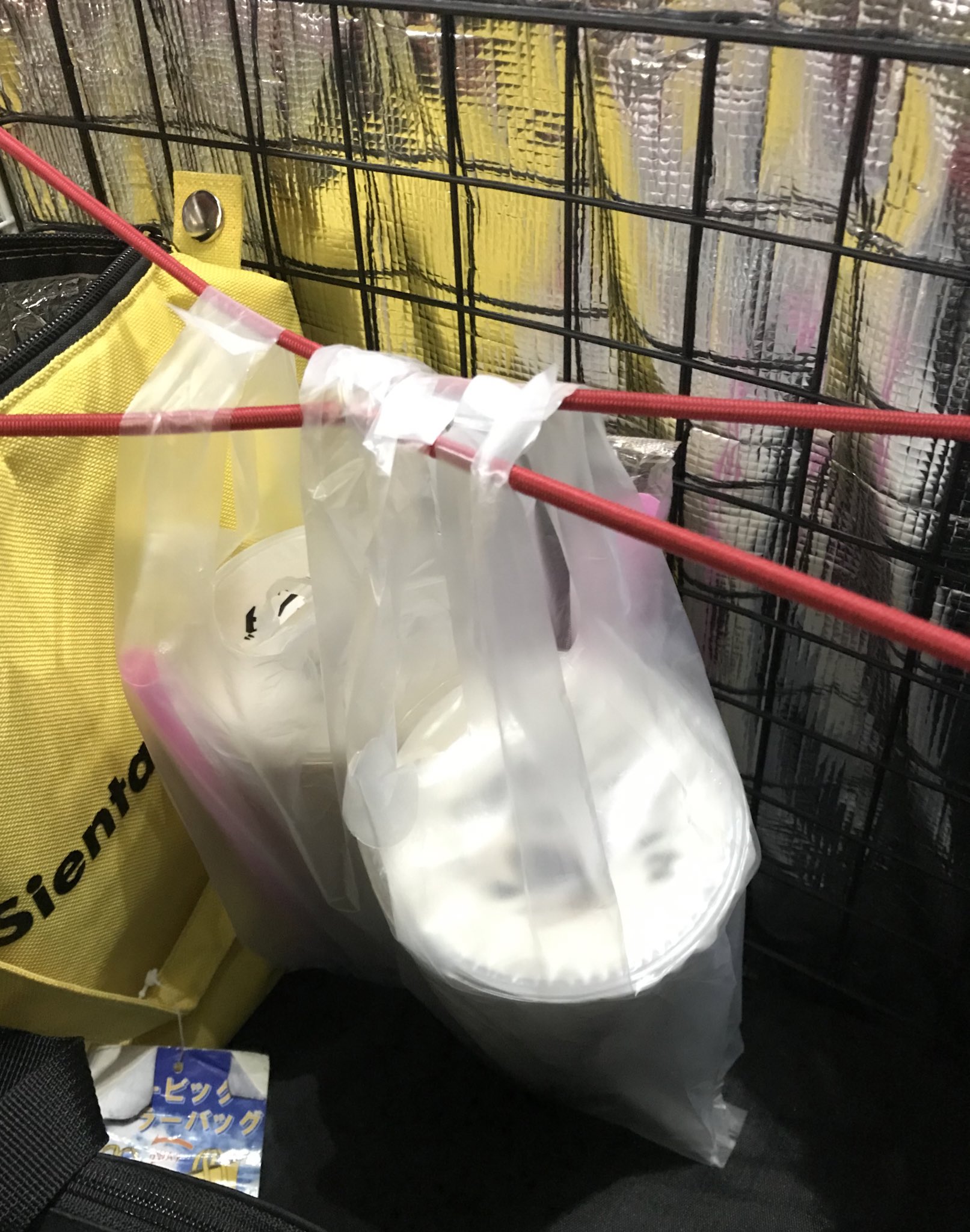 Bダッシュ 仮 On Twitter 寿司システム タピオカや うどん ラーメンにも 活躍できます ウーバーイーツ埼玉 ウーバーイーツ配達員 配達パートナー 自転車組 ウバック チラ見せ Https T Co Hiw1mhfp2n Twitter