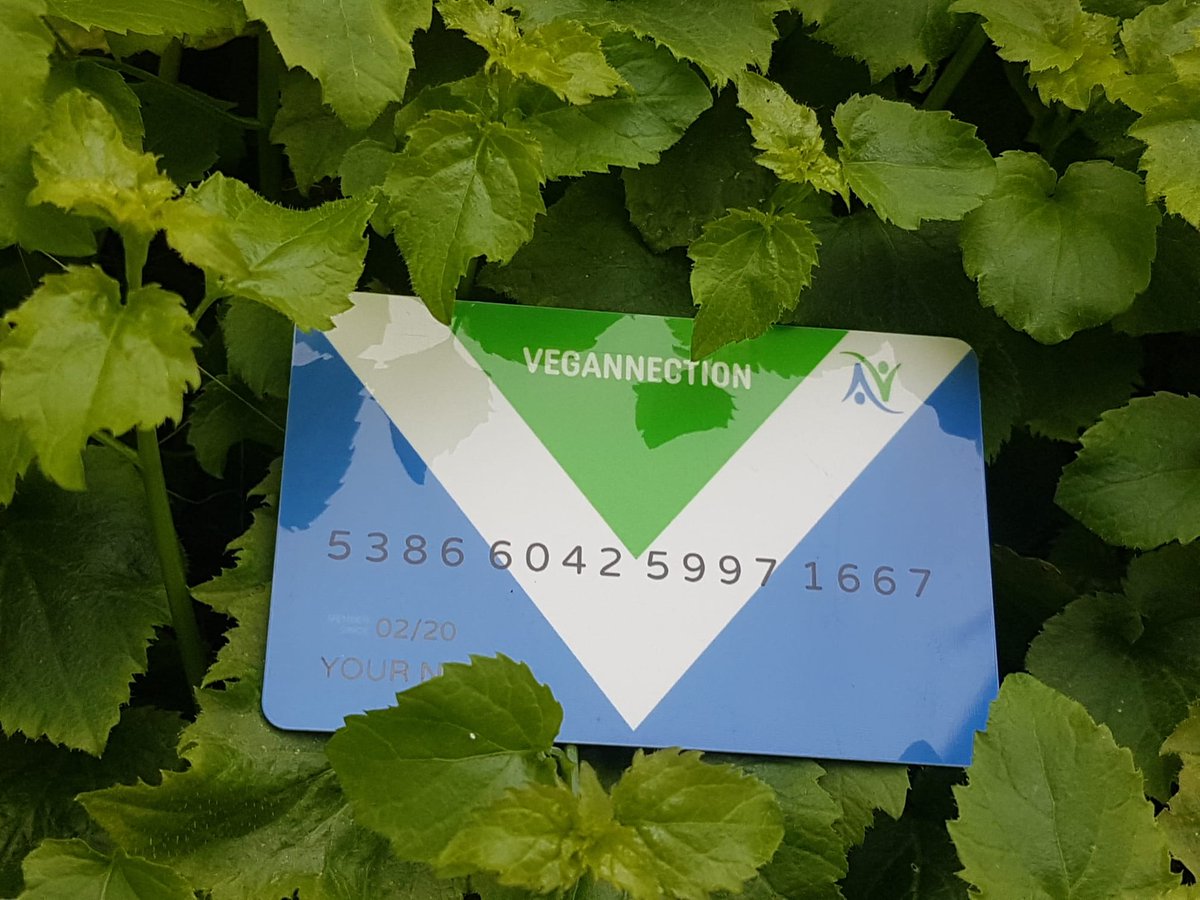 VEGANNECTION BIODEGRADABLE CARD IS HERE!

A big THANK YOU to everyone who helped make this happen!

We are so grateful, happy and excited!

#veganpaymentcard #cashback #donation #rewards #benefits #biodegradable #launch  #vegansofuk #veganfuture #bestofvegan #ecofriendly #vegans