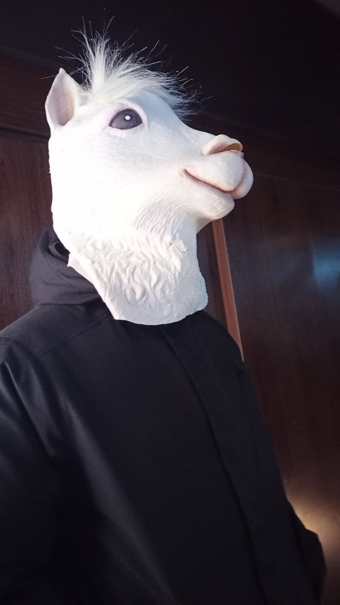 カニカマ 和 よしなまさんにアルパカマスクをかぶせてみた