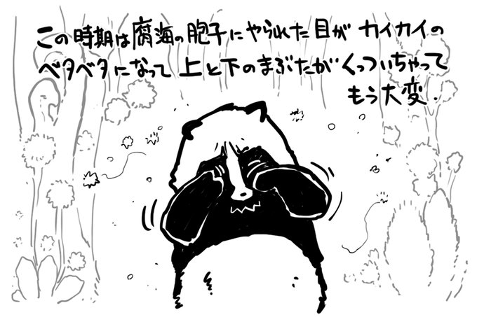 「はるよこい」だっけ?胞子を飛ばさないスギの名前。 